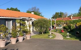 La Pepiniere